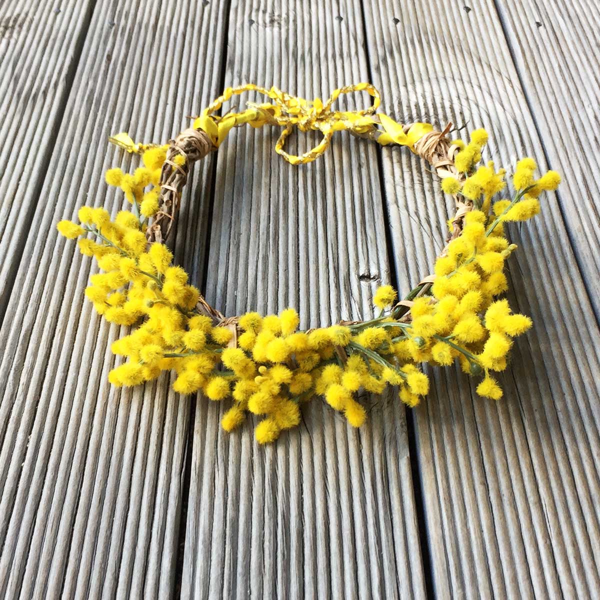 Gold Wattle
